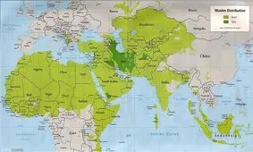 چگونه فرهنگ عربی - اسلامی با فهم عقلانی گذشته خود، می تواند امروز و فردایی عقلانی تر بیابد؟