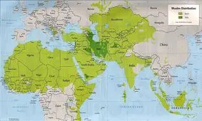چگونه فرهنگ عربی - اسلامی با فهم عقلانی گذشته خود، می تواند امروز و فردایی عقلانی تر بیابد؟
