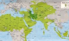 چگونه فرهنگ عربی - اسلامی با فهم عقلانی گذشته خود، می تواند امروز و فردایی عقلانی تر بیابد؟