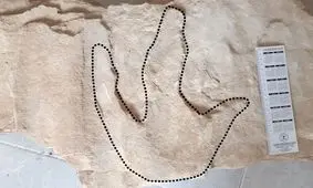 کشف ردپای ۱۴۰ میلیون سالۀ دایناسور در یک صومعه