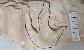کشف ردپای ۱۴۰ میلیون سالۀ دایناسور در یک صومعه