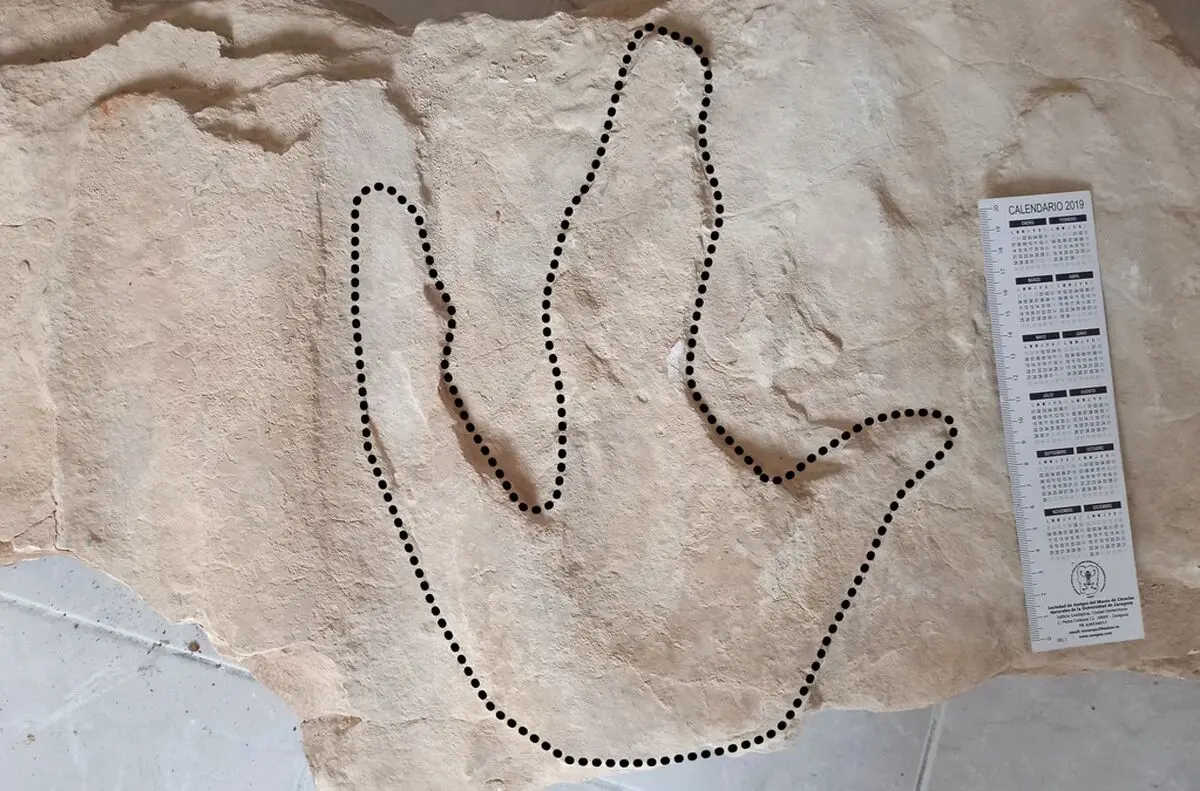 کشف ردپای ۱۴۰ میلیون سالۀ دایناسور در یک صومعه