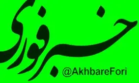 واکنش گسترده کاربران فضای مجازی نسبت به محدودسازی کانال خبرفوری در برخی از پلتفرم‌ها/ تصاویر

