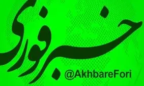 واکنش گسترده کاربران فضای مجازی نسبت به محدودسازی کانال خبرفوری در برخی از پلتفرم‌ها/ تصاویر

