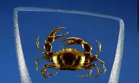 طالع بینی و خصوصیات مردان متولد تیر در عشق و زندگی