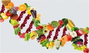 ژن‌ تعیین‌کننده انتخاب مواد غذایی خاص است؟