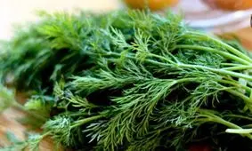 شوید، گیاهی کم کالری و پرخاصیت