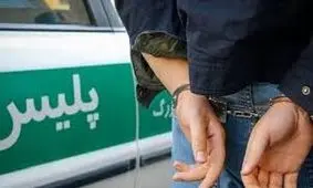 ناکامی متجاوزان در ورود به کشور/ دستگیری ۶۳ نفر متجاوز