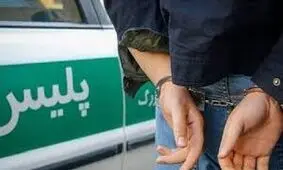 ناکامی متجاوزان در ورود به کشور/ دستگیری ۶۳ نفر متجاوز