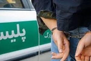 ناکامی متجاوزان در ورود به کشور/ دستگیری ۶۳ نفر متجاوز