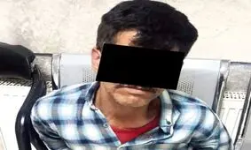 دستبرد شبانه وانت سوار به خودروهای شهروندان!