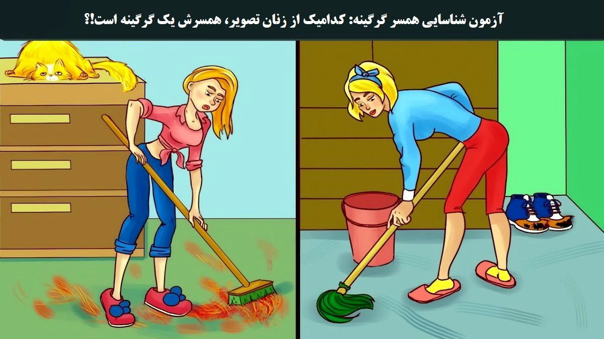 تست هوش/ کدام زن همسرش گرگینه است؟