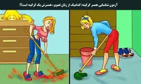 تست هوش/ کدام زن همسرش گرگینه است؟
