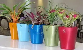 ترفندهایی برای انتخاب گلدان مناسب 