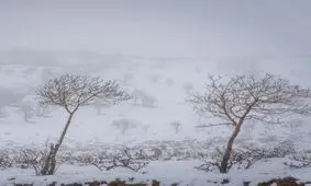 فرماندارفیروزکوه: جاده سمنان موقتا بسته شد