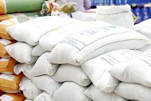 شرکت بازرگانی دولتی: برنج خارجی را زیرقیمت می‌فروشیم