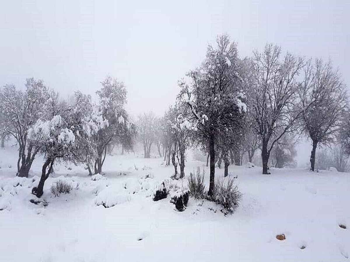 برف مسیر ارتباطی منطقه عشایری اندیکا را مسدود کرد