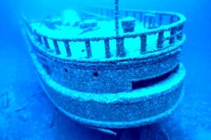 کشف کشتی غرق‌شدۀ ۱۵۰ ساله که کاملا «صدف‌پوش» شده است