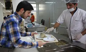 افزایش سه برابری نرخ ژتون غذای دانشجویان صحت ندارد