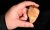 کشف ابزارهای سنگی کهن یک میلیون ساله؛ سرنخی تازه برای رمزگشایی از انسان‌های باستانی کوتاه‌قامت

