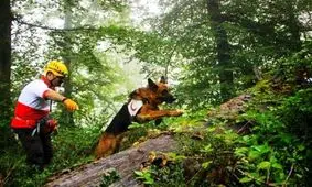 جست‌ و جو برای دختر گم شده در جنگل‌ های عباس آباد