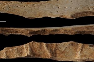 استخوان ۴۰ هزارساله و تاریخ شگفت‌انگیز «لباس چرمی»!