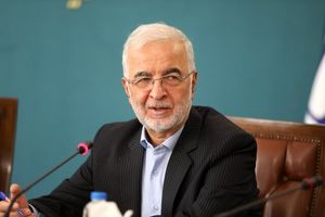 مومنی: اتباع مجاز از کشور اخراج نمی شوند