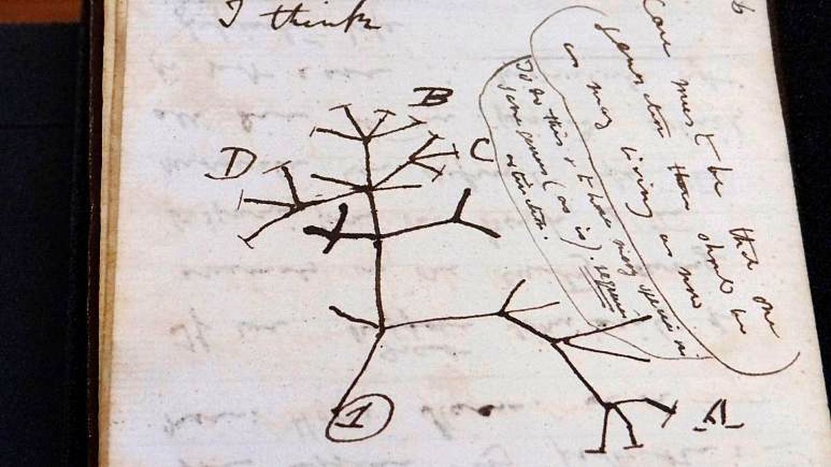 دست نوشته‌ های سرقت شده داروین پس از ۲۰ سال به طرز رازآمیزی پیدا شدند 