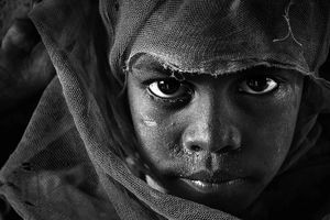 برندگان مسابقه عکاسی سیاه و سفید/ تصاویر