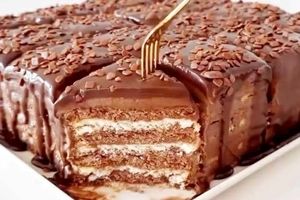 کیک بیسکوییتی پوینگی؛ کیک یخچالی خاص و خوشمزه