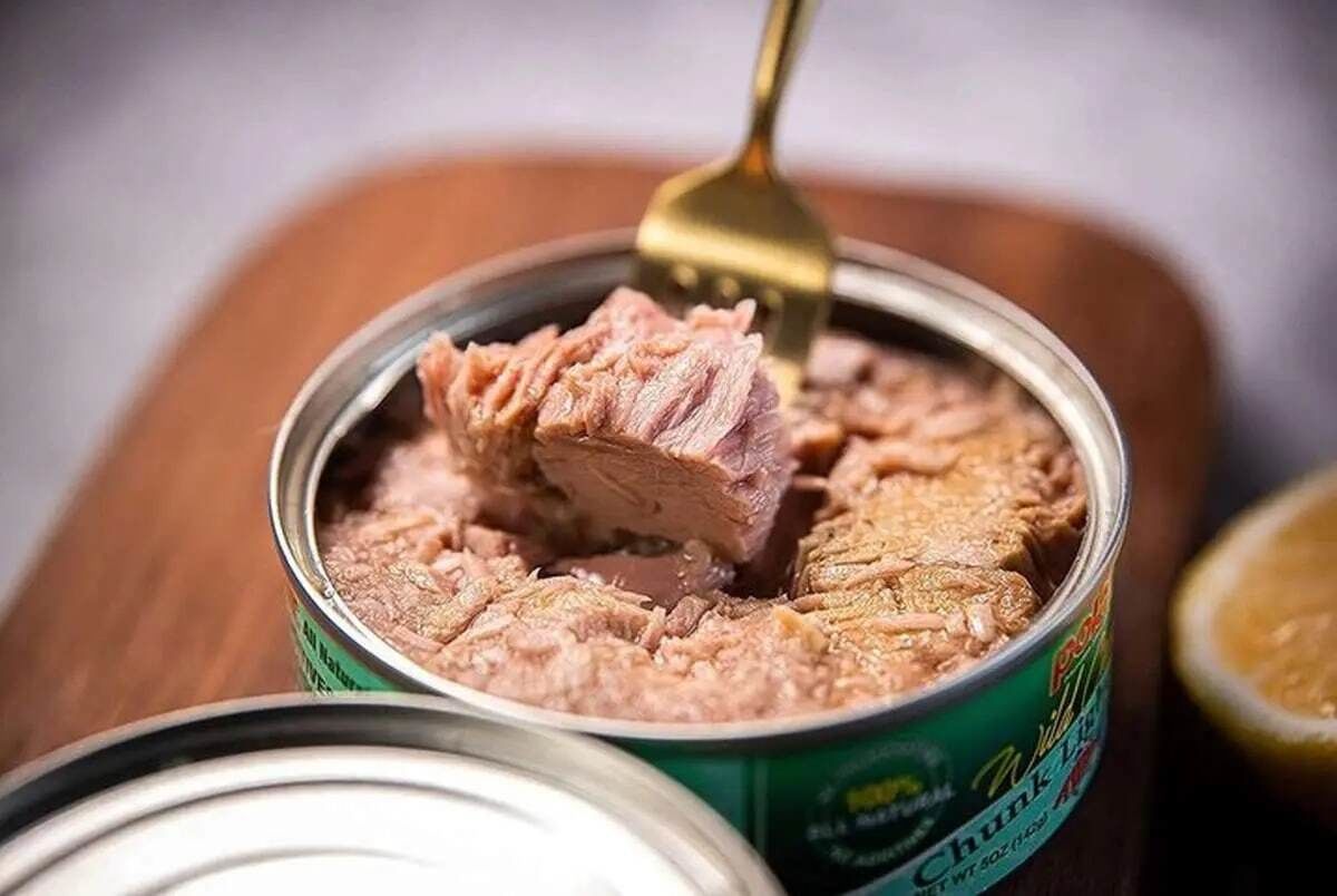 کنسرو ماهی گران میشود