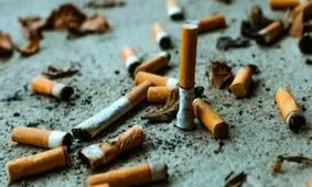 بیشترین و کمترین سیگاری‌ها در کدام کشورها هستند؟/ اینفوگرافی