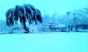 سرمای شدید هوا در راه ایران؛ مسئولین هشیار باشند/ویدیو
