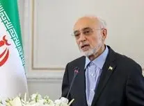 صالحی: فلسفه نماد شیر و خورشید مربوط به حضرت علی (ع) و مالکیت معنوی آن متعلق به ایران است/ یکی از ویژگی‌های انقلاب، اصلاح‌پذیری است/ بنیان درست نظام ما در این قرن باید توجه به اقلیم، آب، هوش مصنوعی و مسائل اجتماعی و اقتصادی باشد/ ویدئو