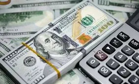 ادعای عجیب طیب‌نیا: مردم ۷۰ میلیارد دلار ارز و طلا در خانه‌ نگه داشته‌اند/ ویدئو