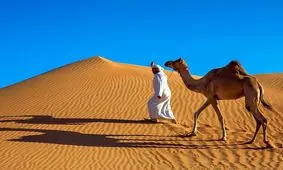 چرا عربستان با وجود بیابان‌های بی‌پایان شن وارد می‌کنند؟