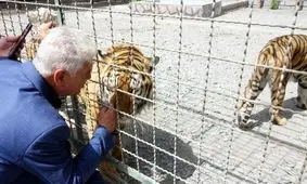 دردسرهای نگه‌داری از حیوانات در بزرگترین باغ وحش خصوصی کشور