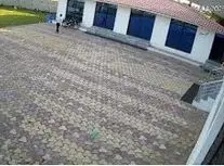 برق‌گرفتگی مرگبار کارمند هتل هنگام تعقیب میمون/ ویدئو