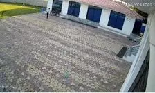 برق‌گرفتگی مرگبار کارمند هتل هنگام تعقیب میمون/ ویدئو