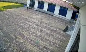 برق‌گرفتگی مرگبار کارمند هتل هنگام تعقیب میمون/ ویدئو