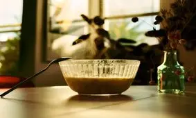 ادویه هایی که حکم آنتی بیوتیک دارند | اگر آنفلوانزا گرفتید و گلو درد دارید این خوراکی ها را بخورید