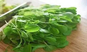 ۴ خاصیت بی‌نظیر شاهی