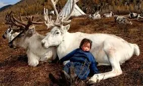 این حیوان عجیب برای زنده ماندن باید در خواب هم غذا بخورد