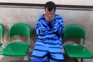 بازداشت سارق حرفه ای طلا در کمتر از 24 ساعت