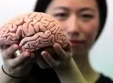 چه کنیم مغزمان جوان‌ بماند؟