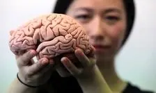 چه کنیم مغزمان جوان‌ بماند؟