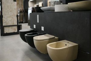 ورود جدیدترین مدل‌های چینی‌آلات بهداشتی به بازار ایران