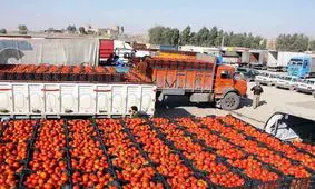 بازرگان در اولویت است یا مردم؟/صادرات عامل گرانی در بازار/آیا کل سرمایه گذاری تجارت خارجی بر روی سیب و گوجه است؟