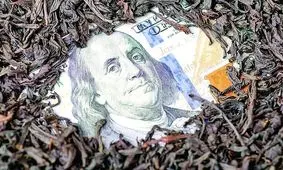  ۱۰ درصد فساد چای مربوط به دولت روحانی است و ۹۰ درصد مربوط به دولت رئیسی