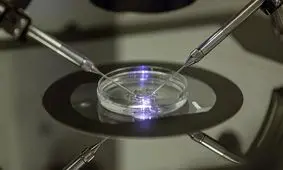 پزشک متخصص زنان در هلند پنهانی از اسپرم خود برای باردار کردن ۲۱ زن استفاده کرد 